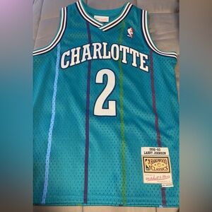 Mitchell & Ness Teal Jersey with Purple and Green Stripes Larry Johnson